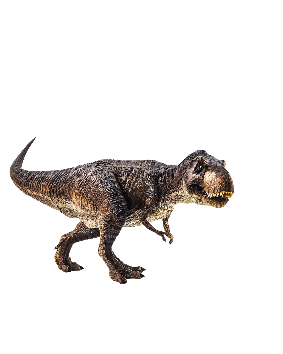 Hashnod Dino Concept Left